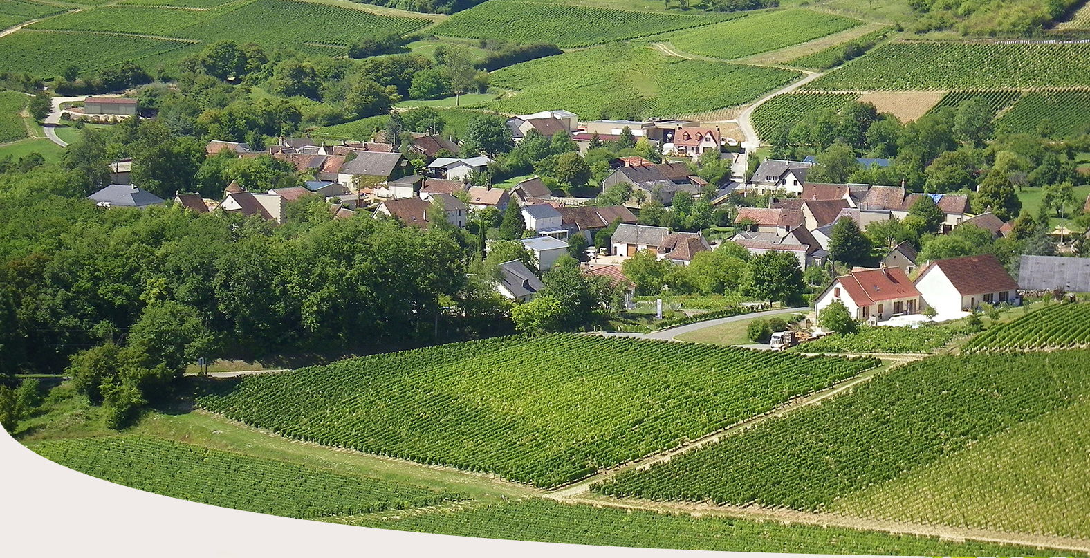 Domaine Des Vieux PRUNIERS - EARL Christian THIROT FOURNIER